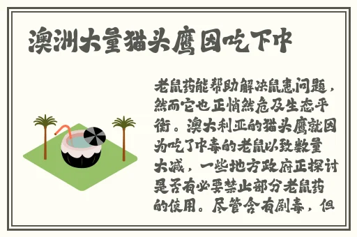 猪蜜蜜电视剧大全免费